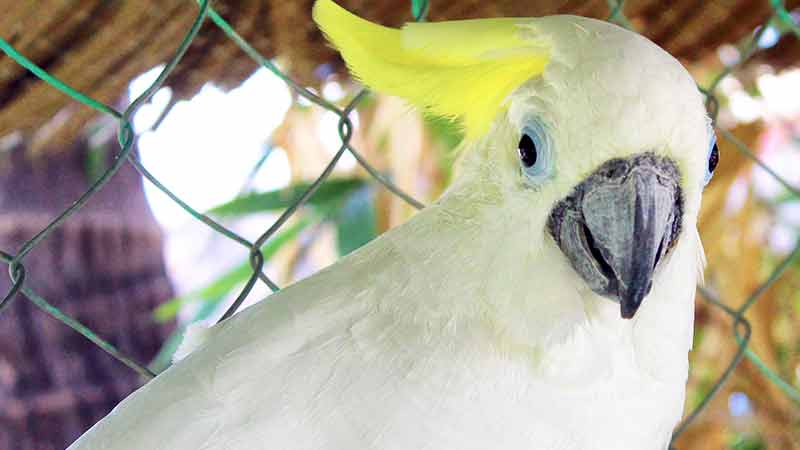 Moonbay Marina Water Park Subic Food